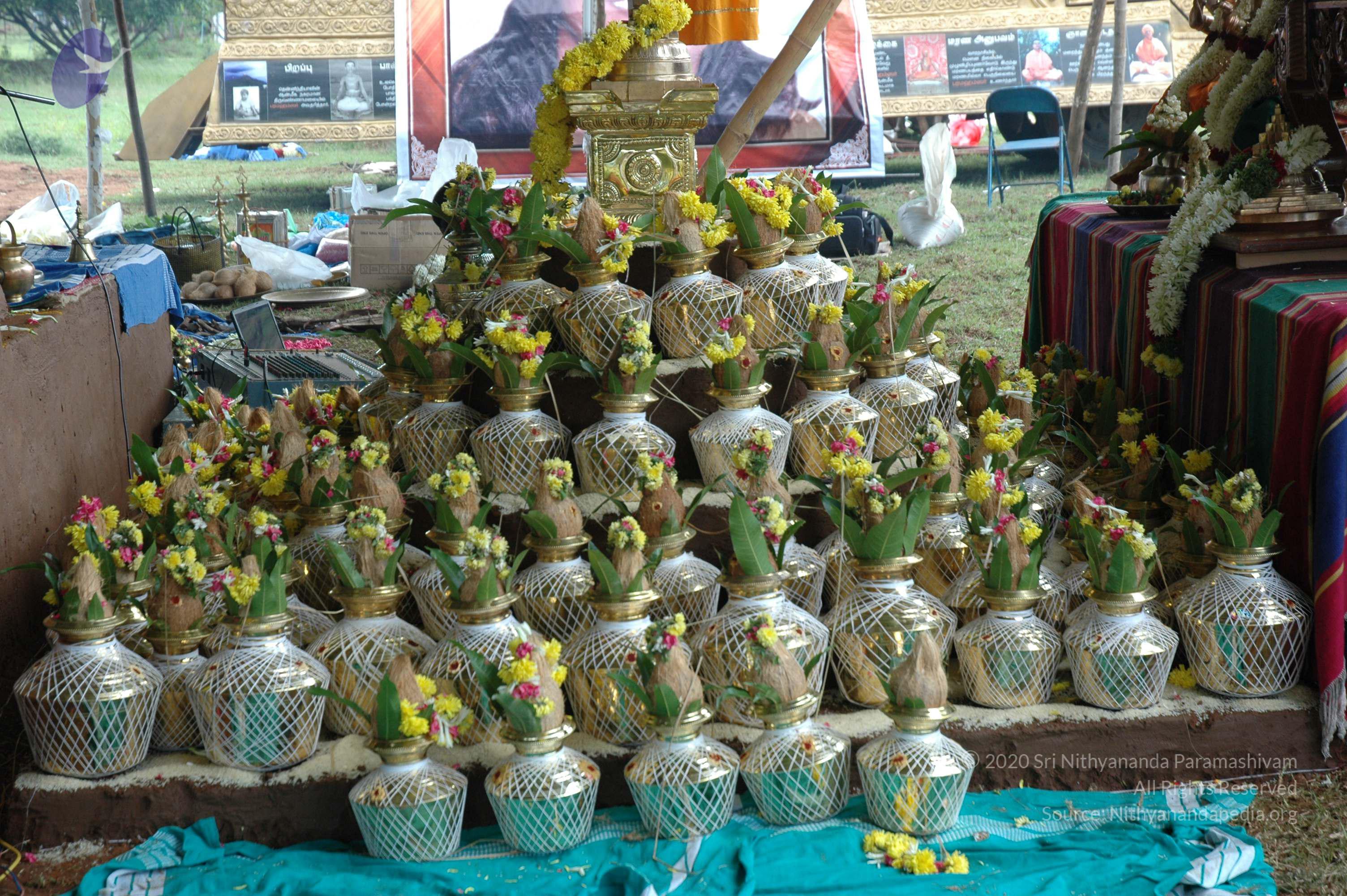 20081111_Photo_1240_DSC_2797_CMP_WM