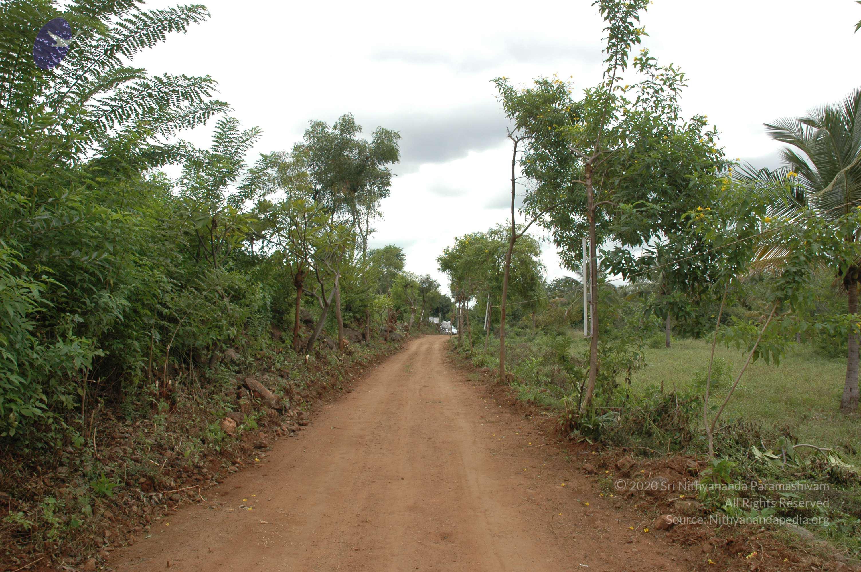 20081111_Photo_1249_DSC_1961_CMP_WM