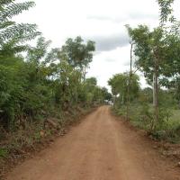 20081111_Photo_1249_DSC_1961_CMP_WM