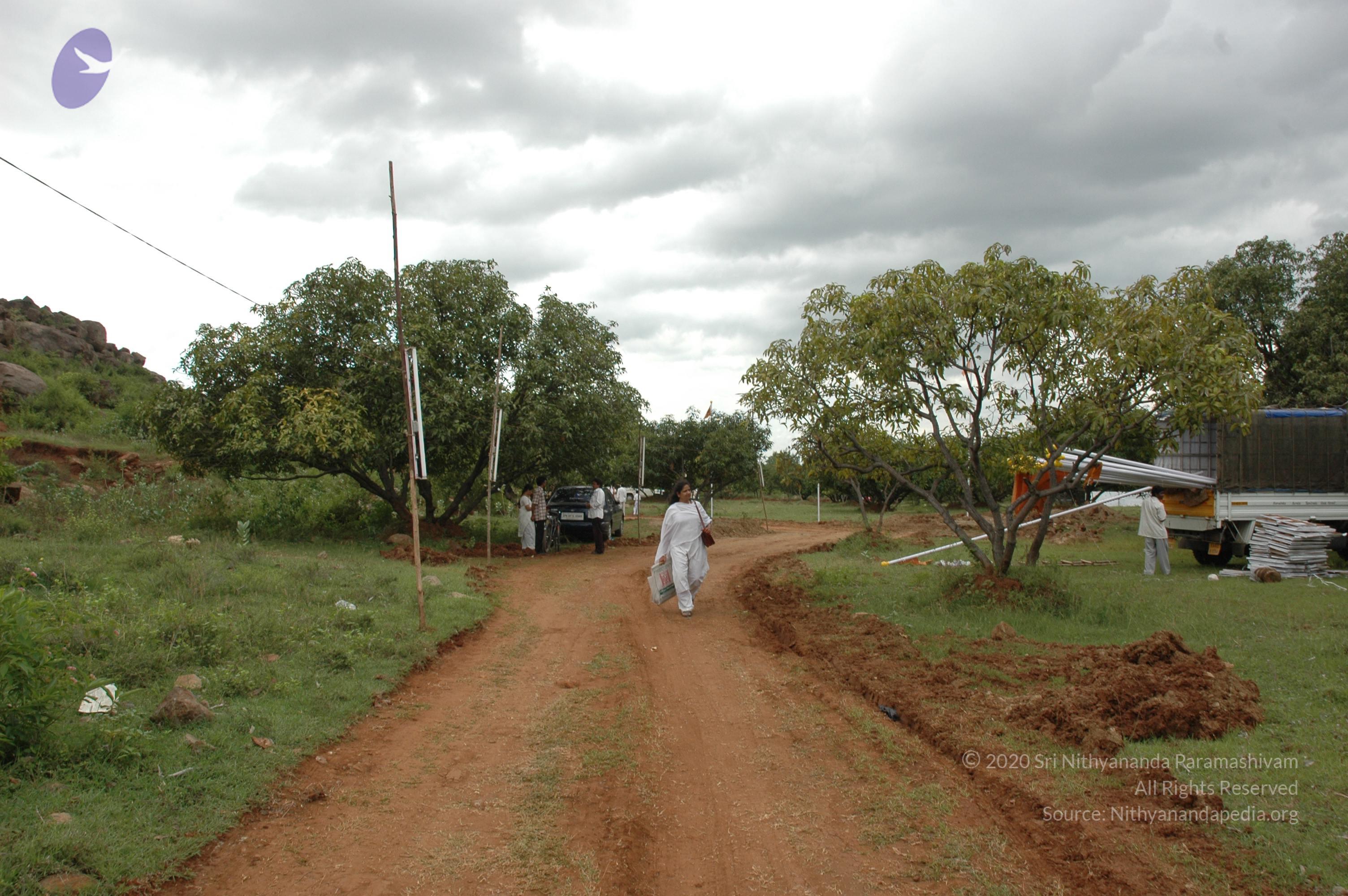 20081111_Photo_1259_DSC_1903_CMP_WM