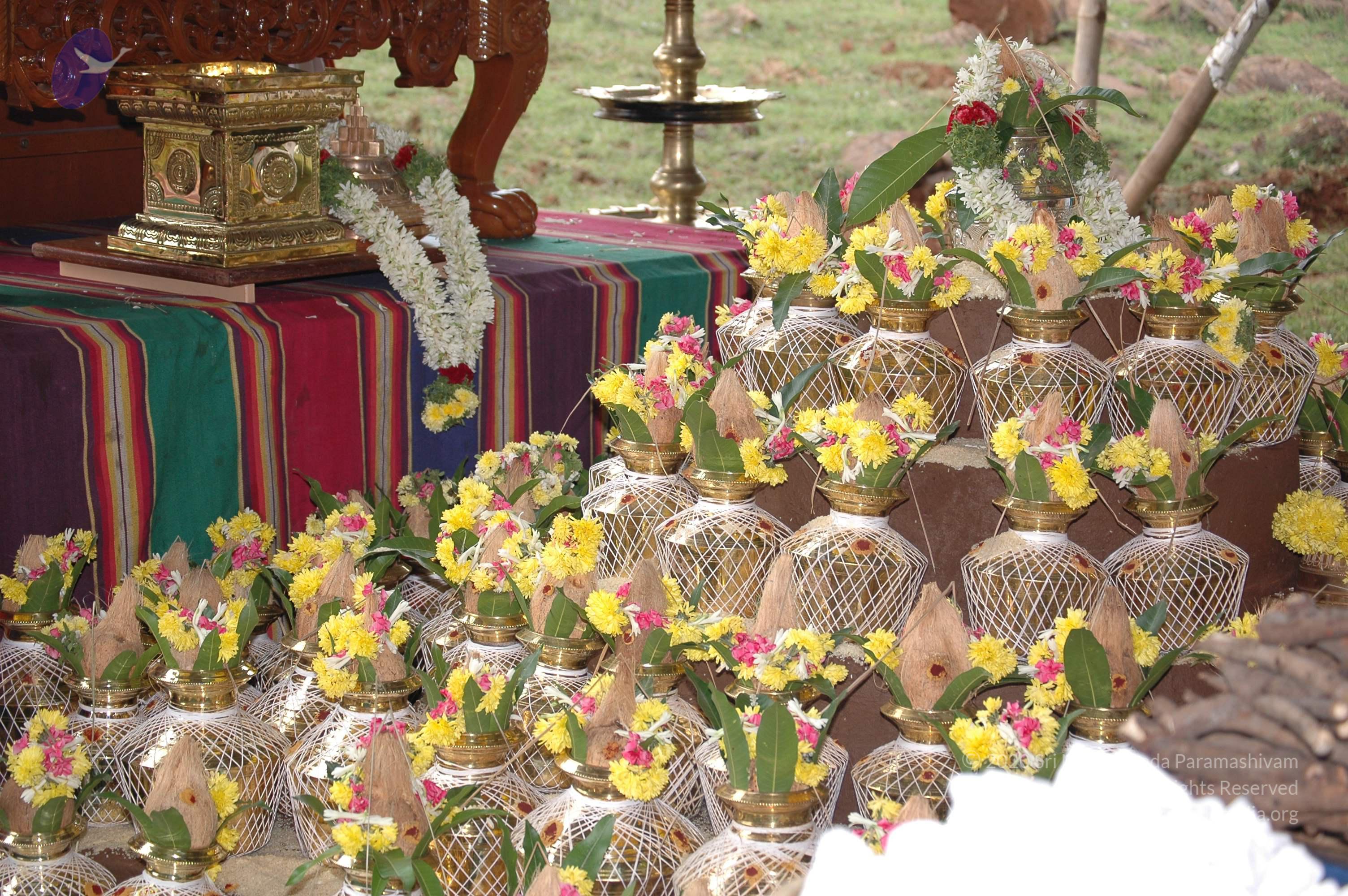 20081111_Photo_1265_DSC_2406_CMP_WM