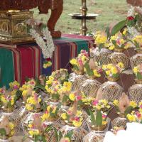 20081111_Photo_1265_DSC_2406_CMP_WM