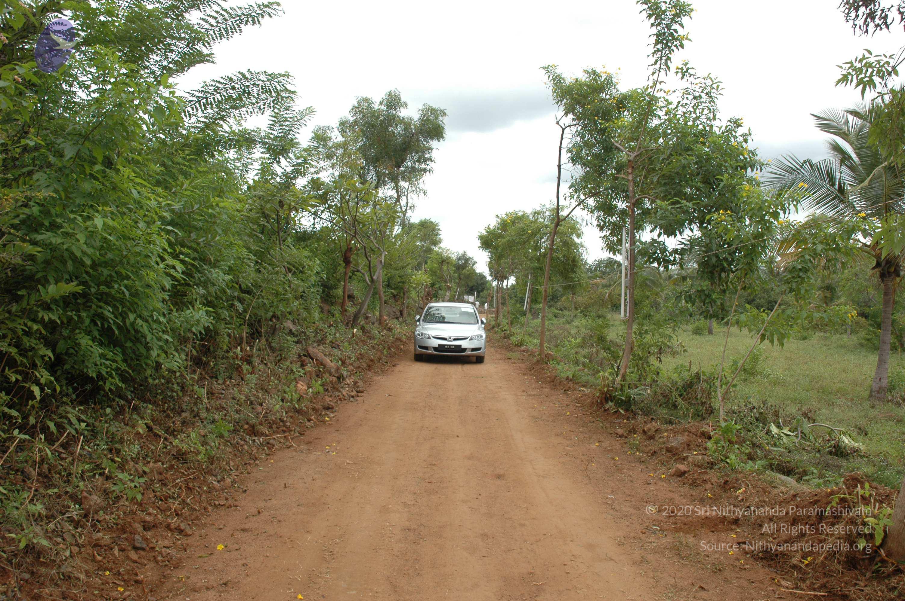 20081111_Photo_1266_DSC_1966_CMP_WM