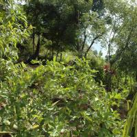 20081111_Photo_1273_DSC_2758_CMP_WM