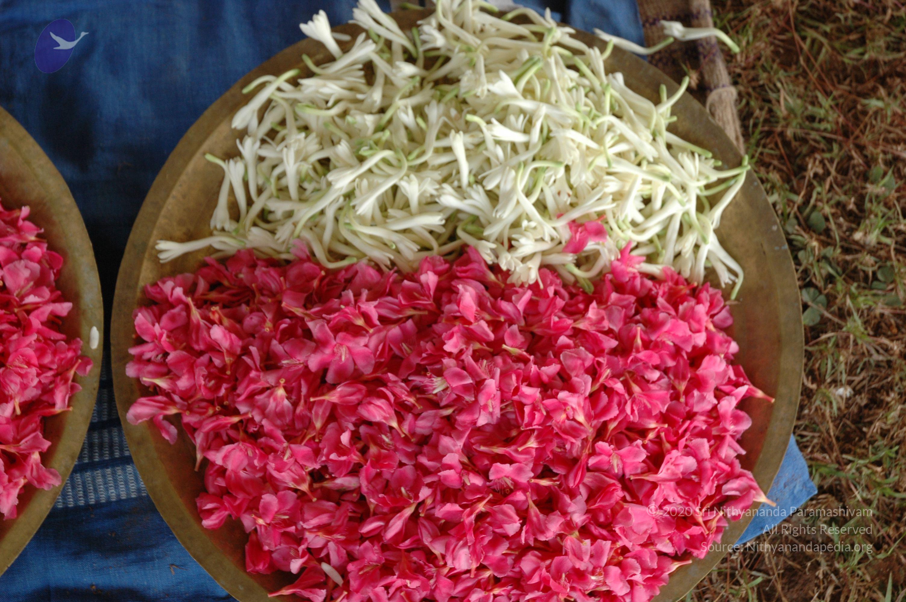 20081111_Photo_1279_DSC_2331_CMP_WM