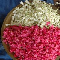 20081111_Photo_1279_DSC_2331_CMP_WM