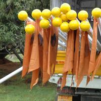 20081111_Photo_1280_DSC_1904_CMP_WM