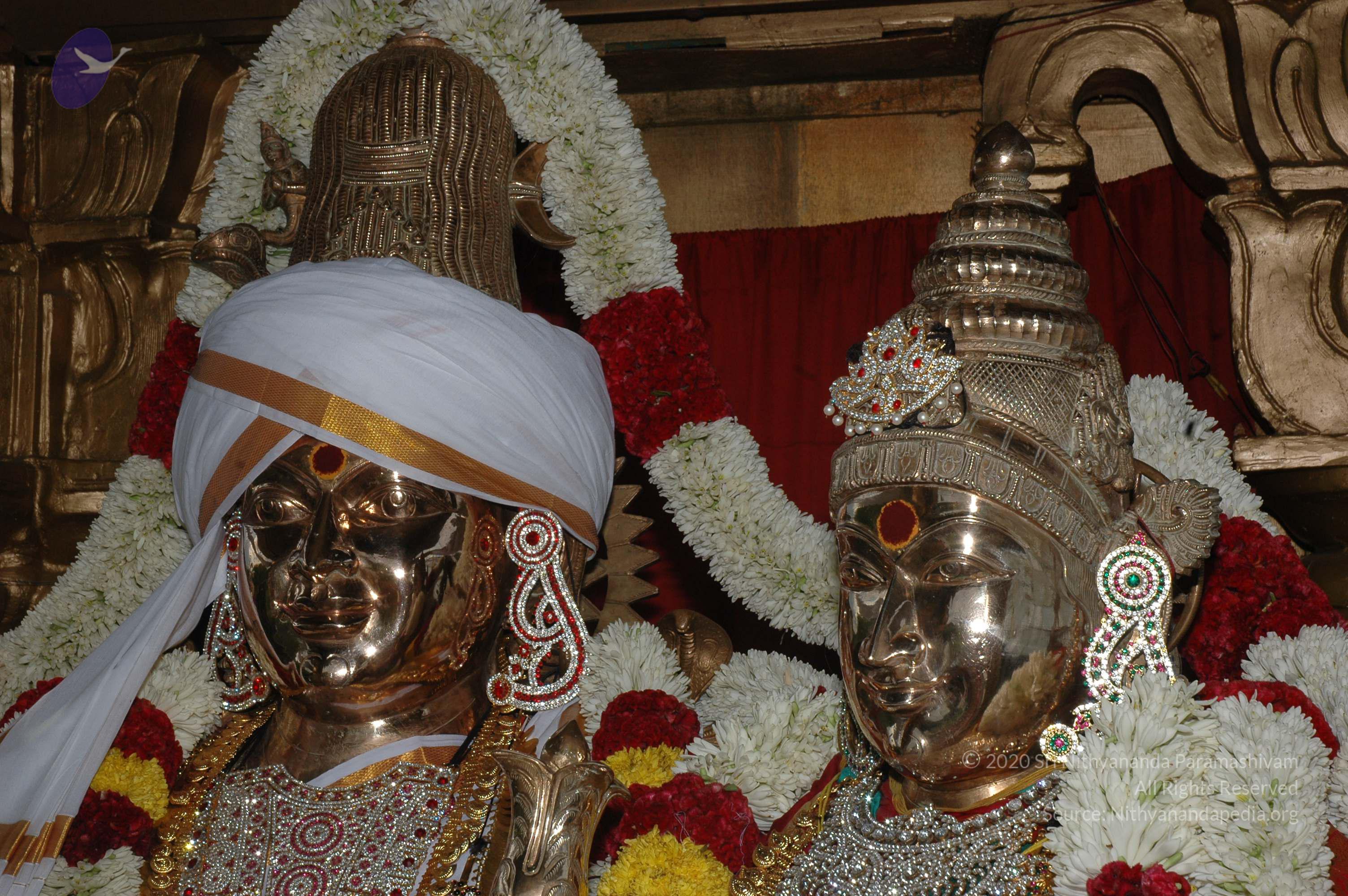 20081111_Photo_1289_DSC_2901_CMP_WM