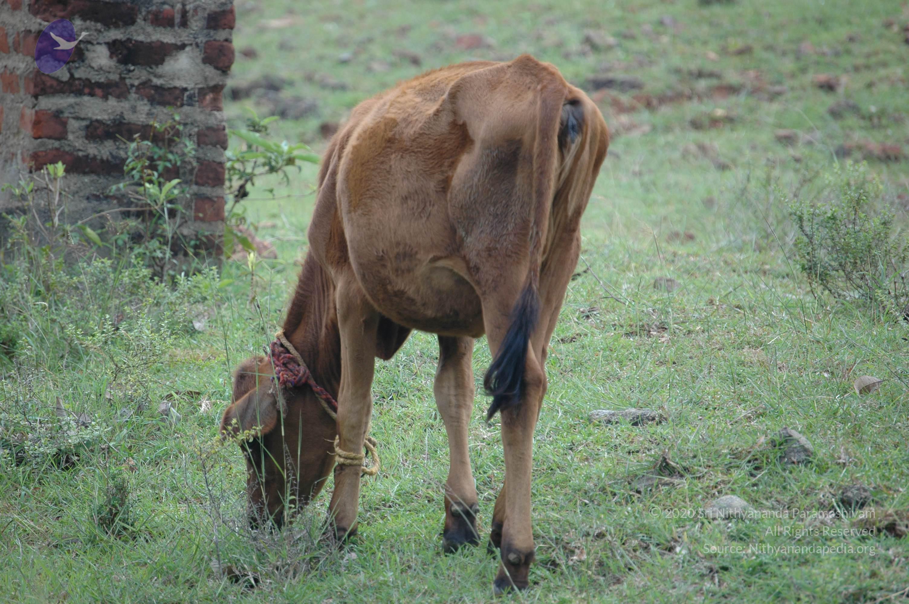 20081111_Photo_1294_DSC_2840_CMP_WM