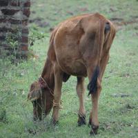 20081111_Photo_1294_DSC_2840_CMP_WM