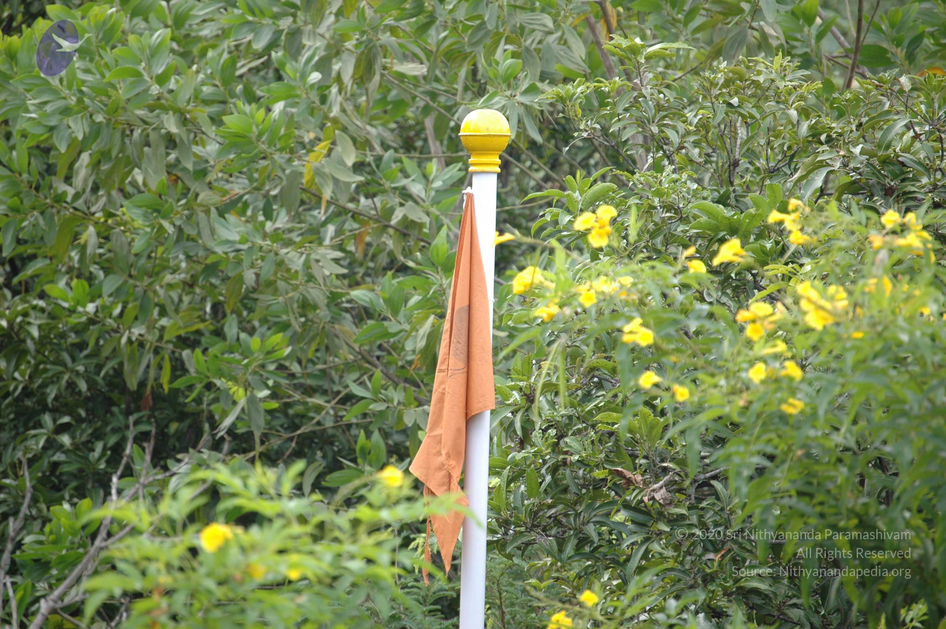 20081111_Photo_1302_DSC_2773_CMP_WM