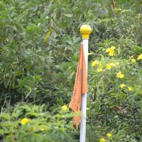 20081111_Photo_1302_DSC_2773_CMP_WM