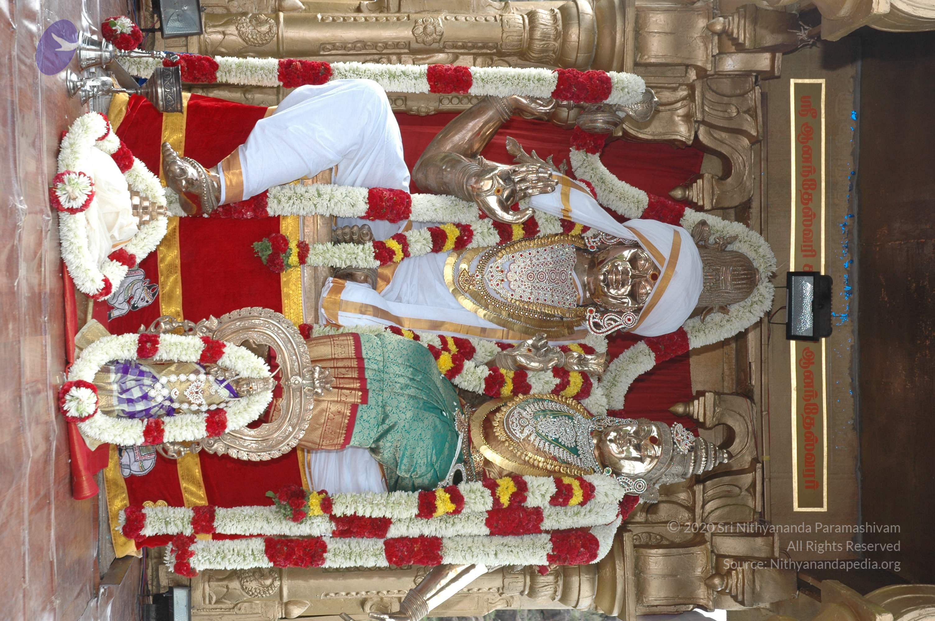 20081111_Photo_1306_DSC_2894_CMP_WM