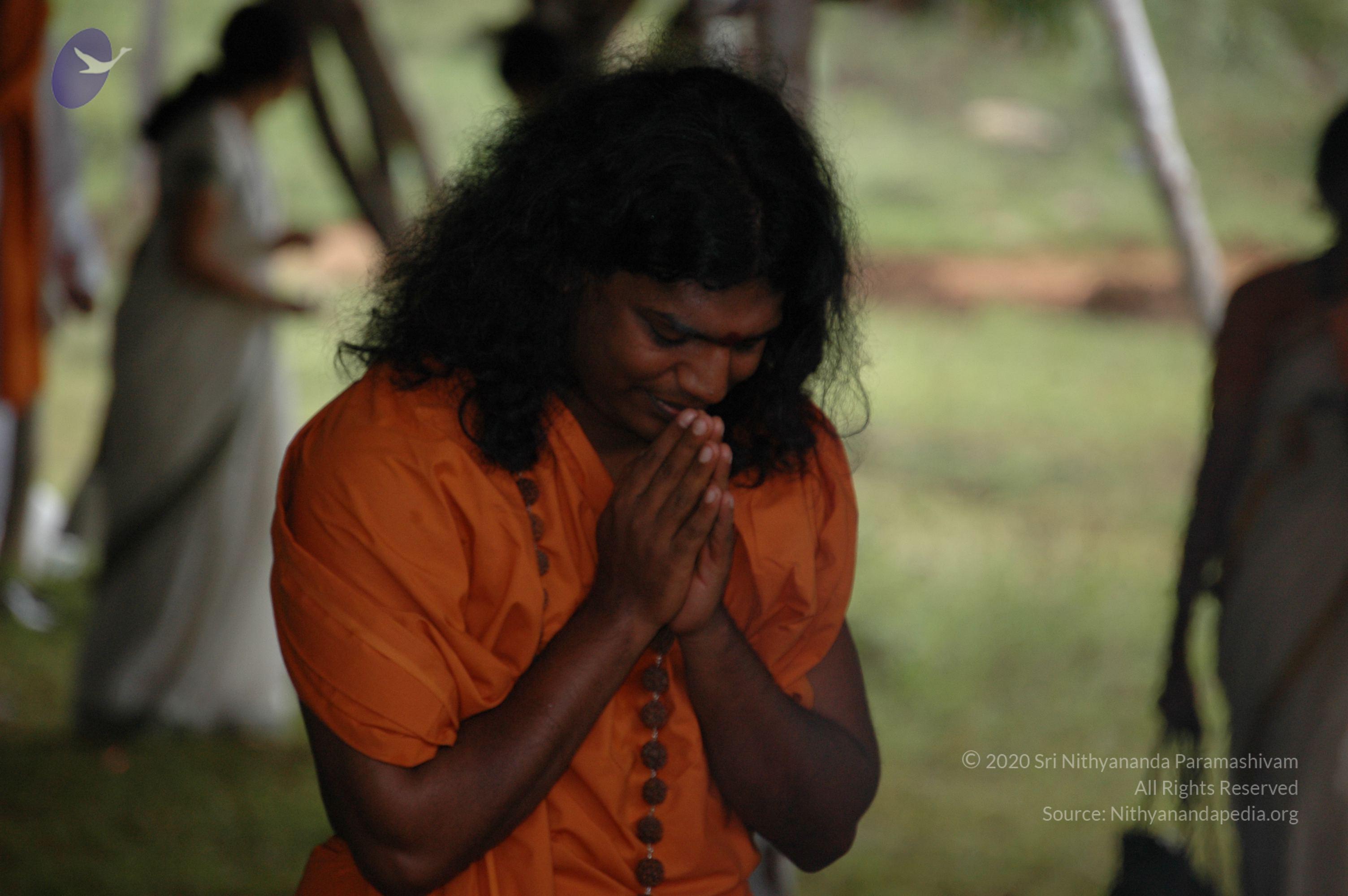 20081111_Photo_1372_DSC_2561_CMP_WM