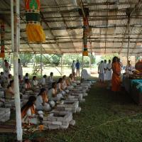 20081111_Photo_1374_DSC_2320_CMP_WM