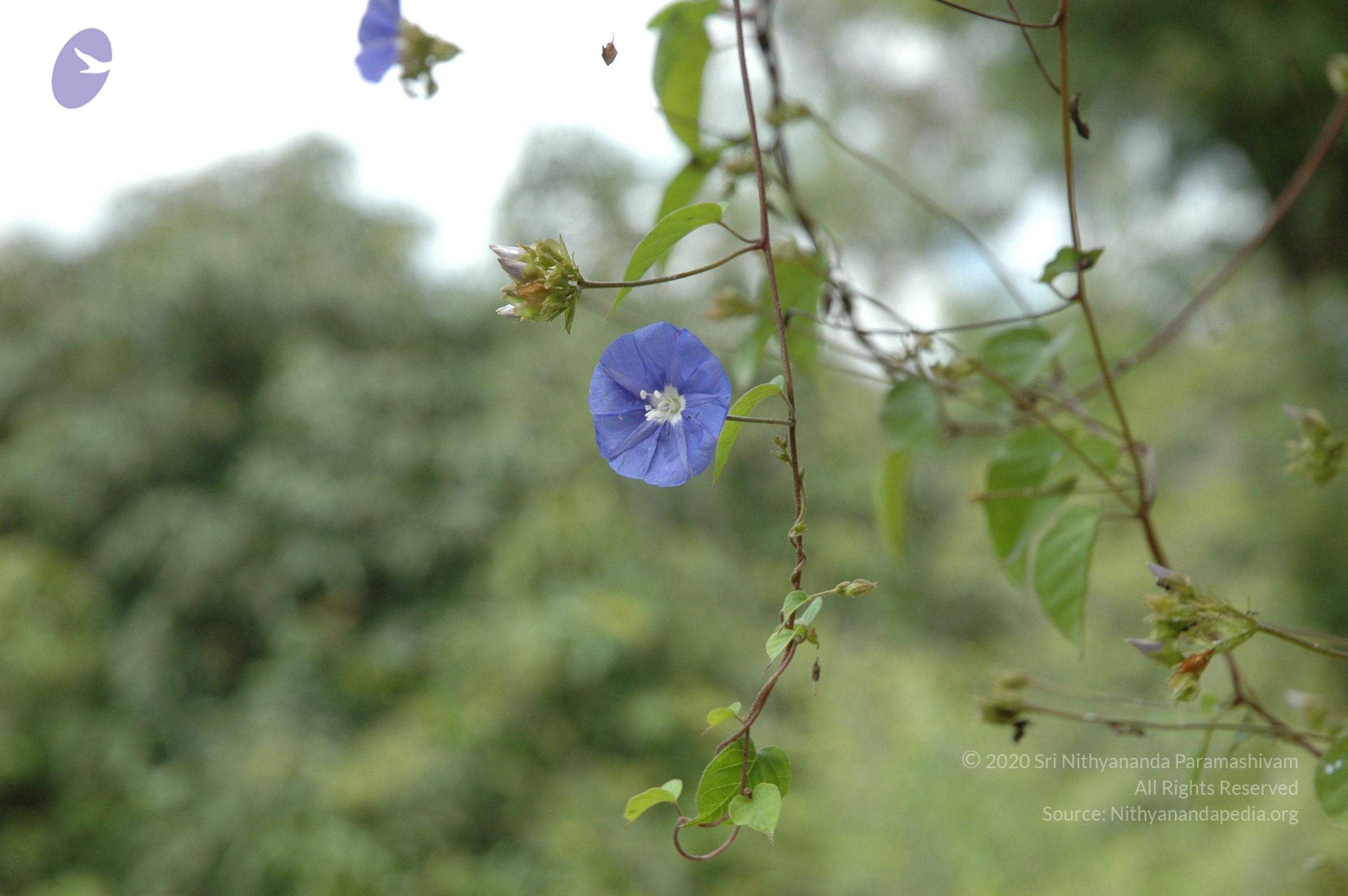 20081111_Photo_1381_DSC_2749_CMP_WM