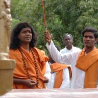 20081111_Photo_1385_DSC_2261_CMP_WM