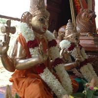 20081111_Photo_1401_DSC_2339_CMP_WM