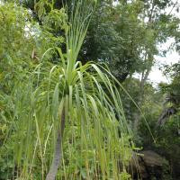 20081111_Photo_1409_DSC_2750_CMP_WM