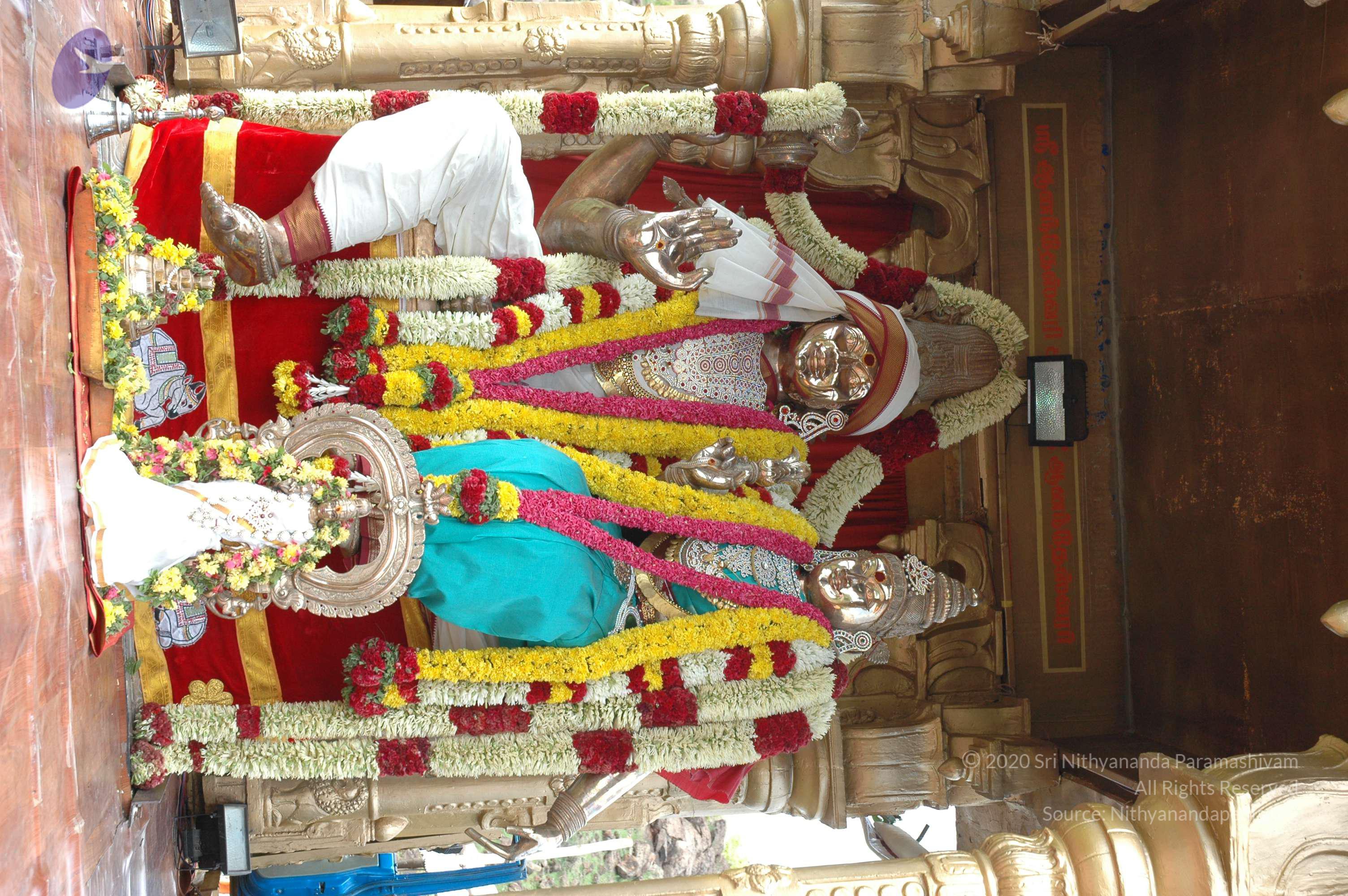 20081111_Photo_1411_DSC_2278_CMP_WM