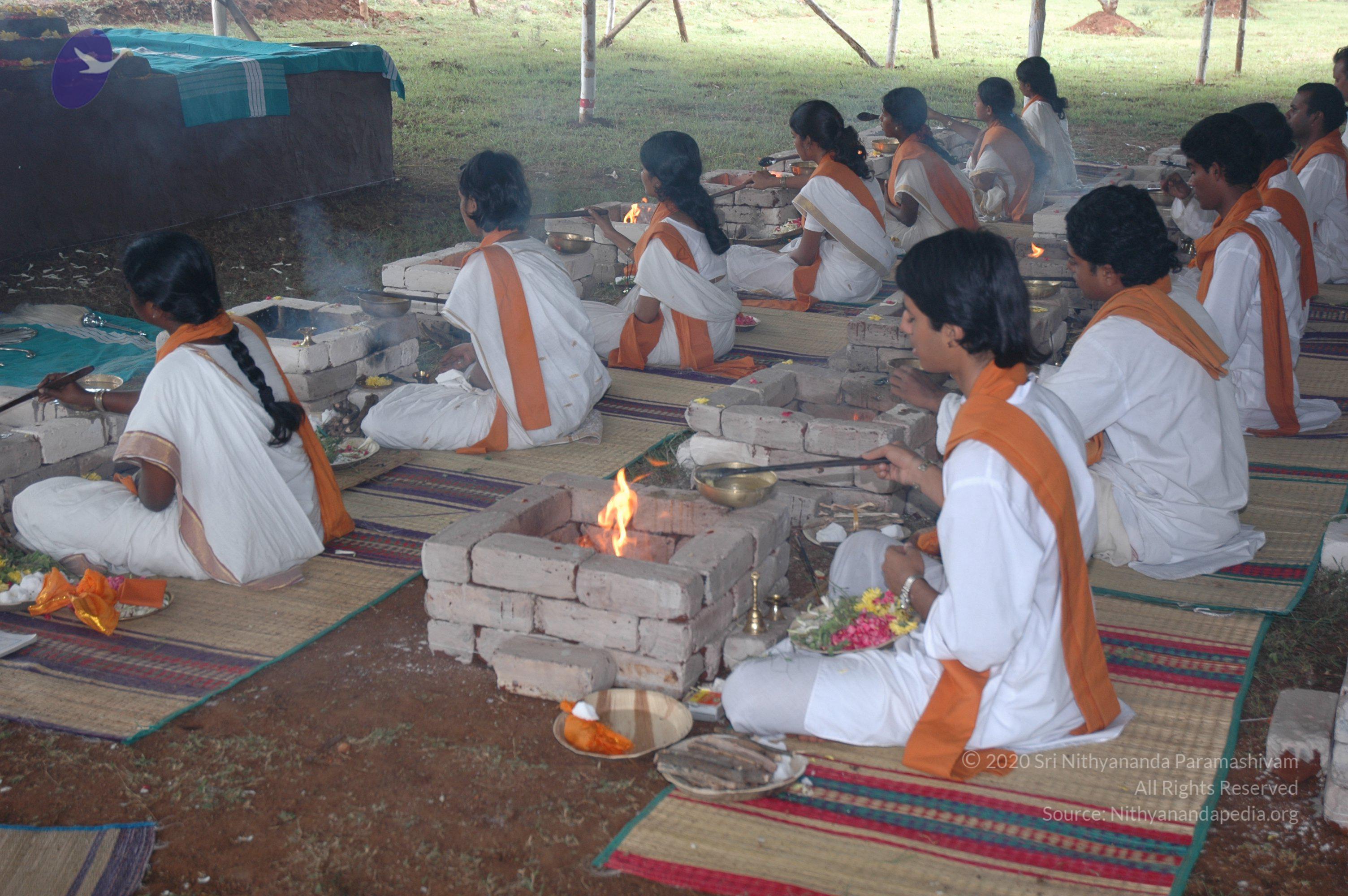 20081111_Photo_1420_DSC_2798_CMP_WM