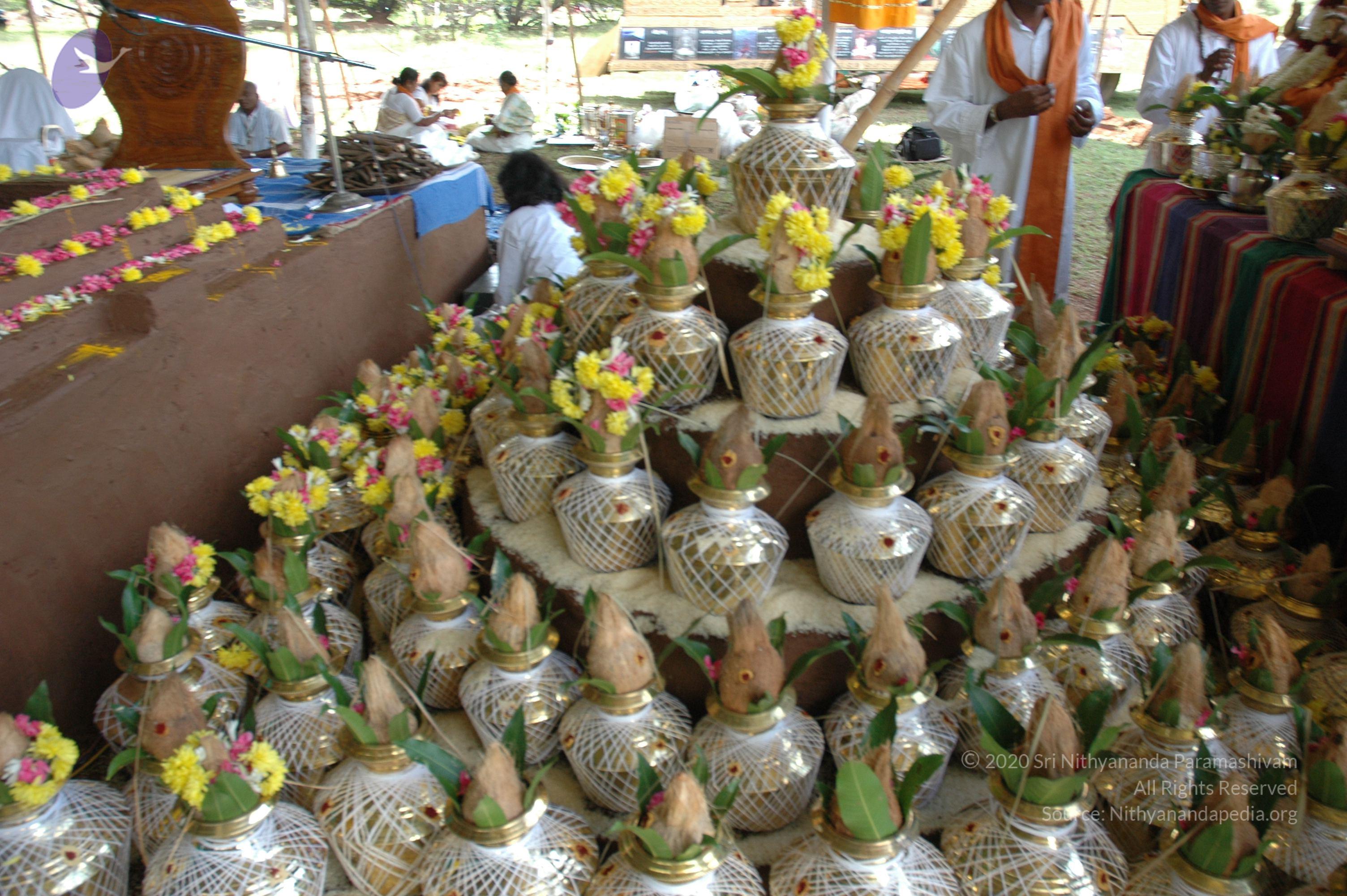 20081111_Photo_1431_DSC_2325_CMP_WM