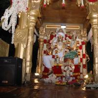 20081111_Photo_1435_DSC_3267_CMP_WM