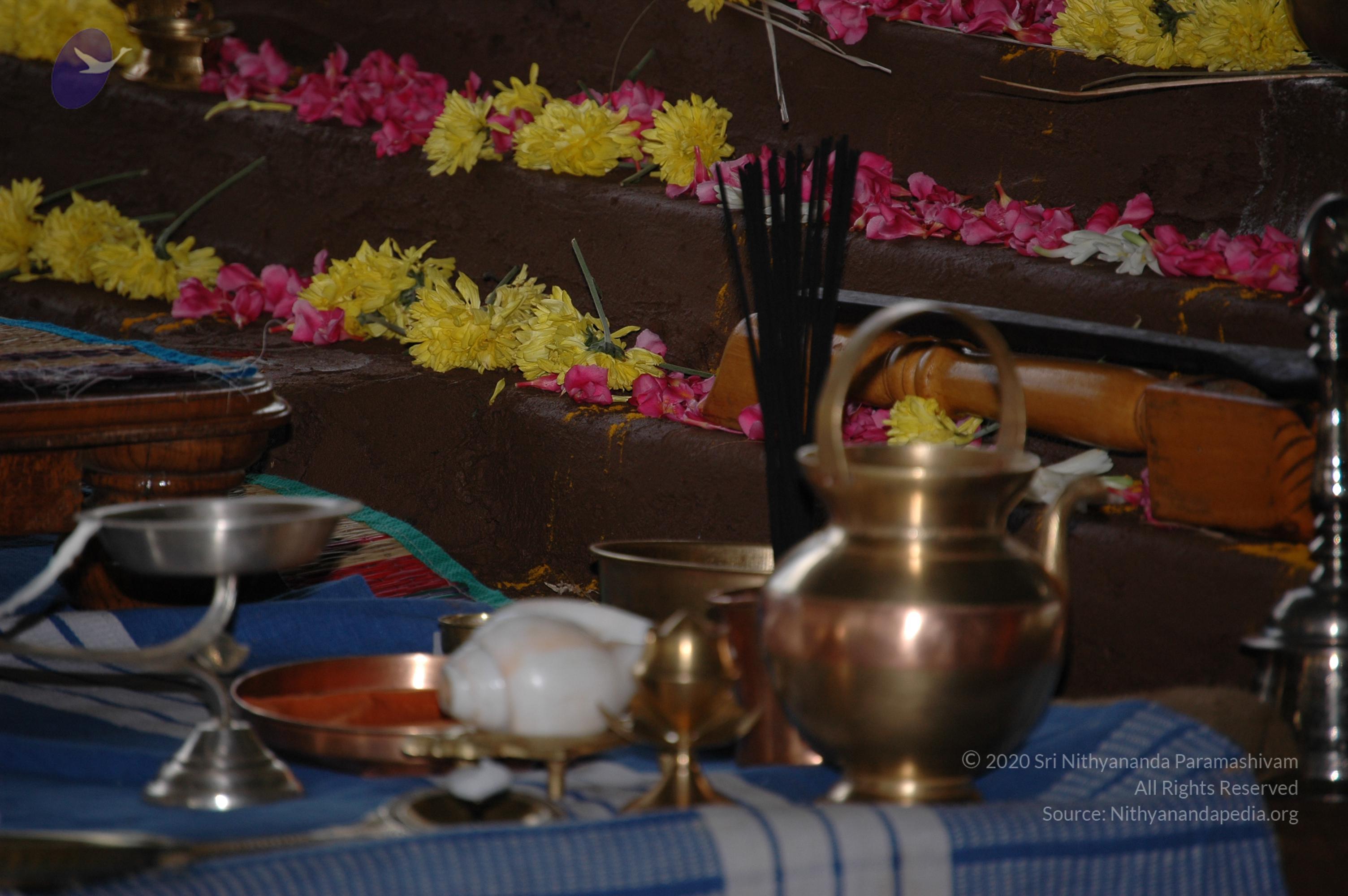 20081111_Photo_1439_DSC_2370_CMP_WM