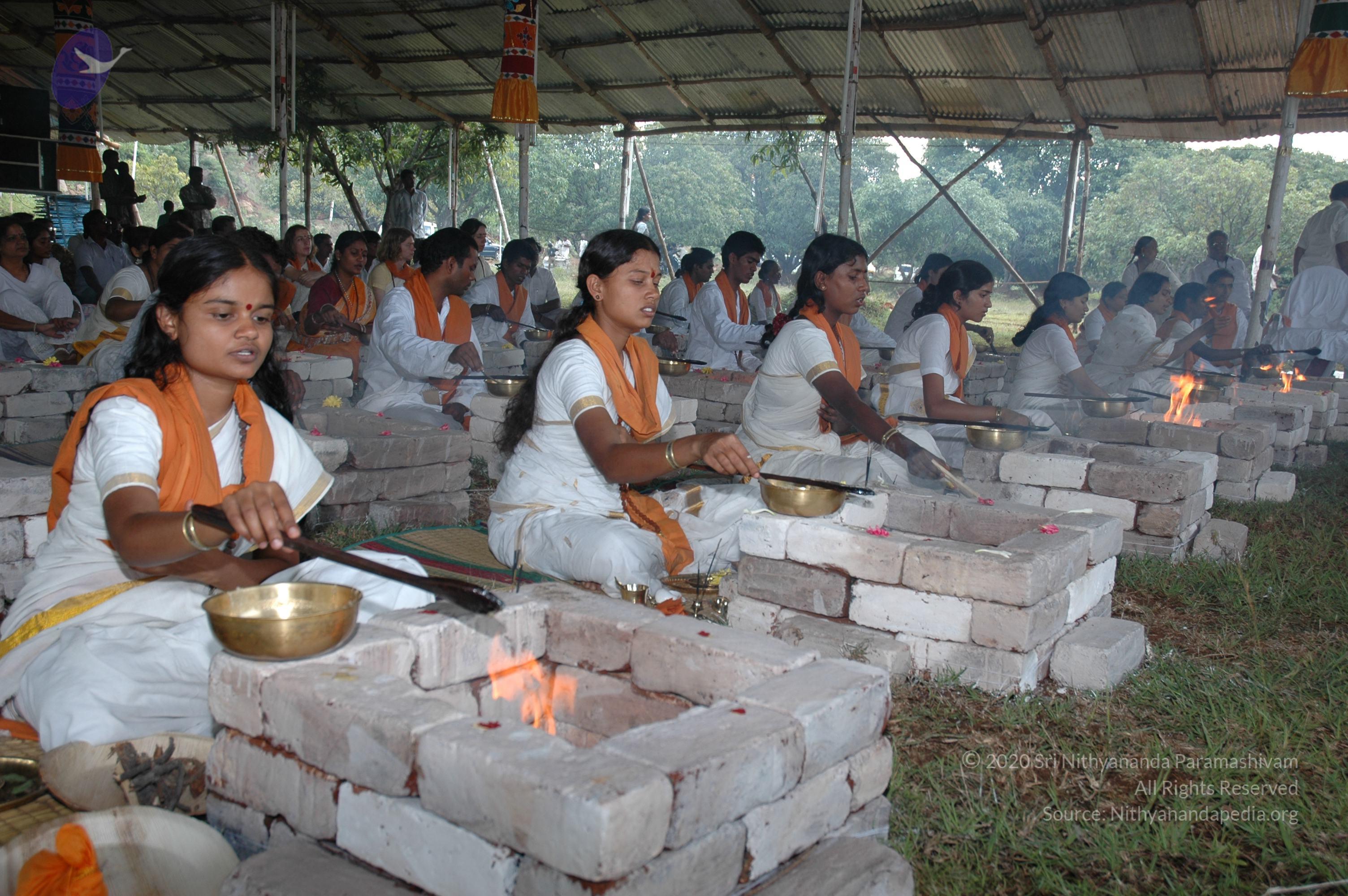 20081111_Photo_1459_DSC_2690_CMP_WM