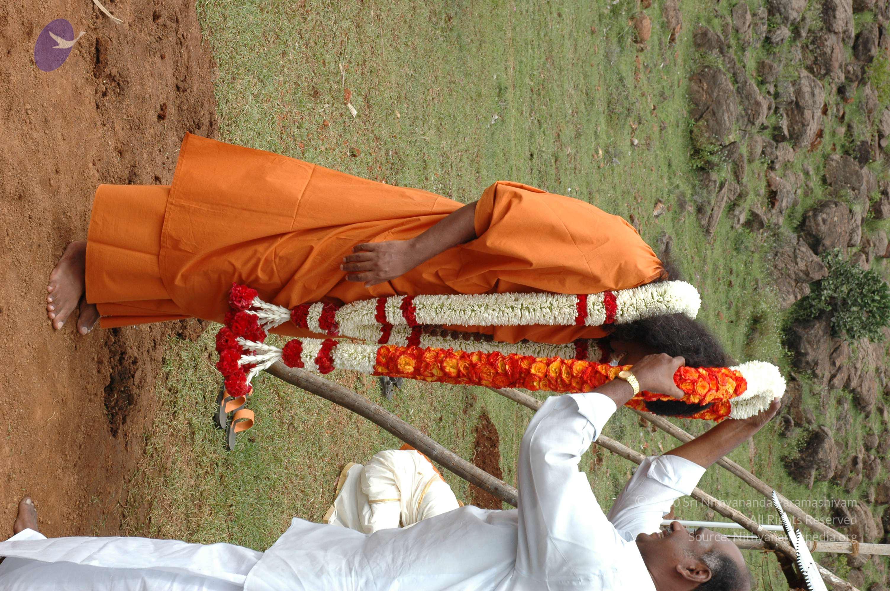 20081111_Photo_1463_DSC_2181_CMP_WM