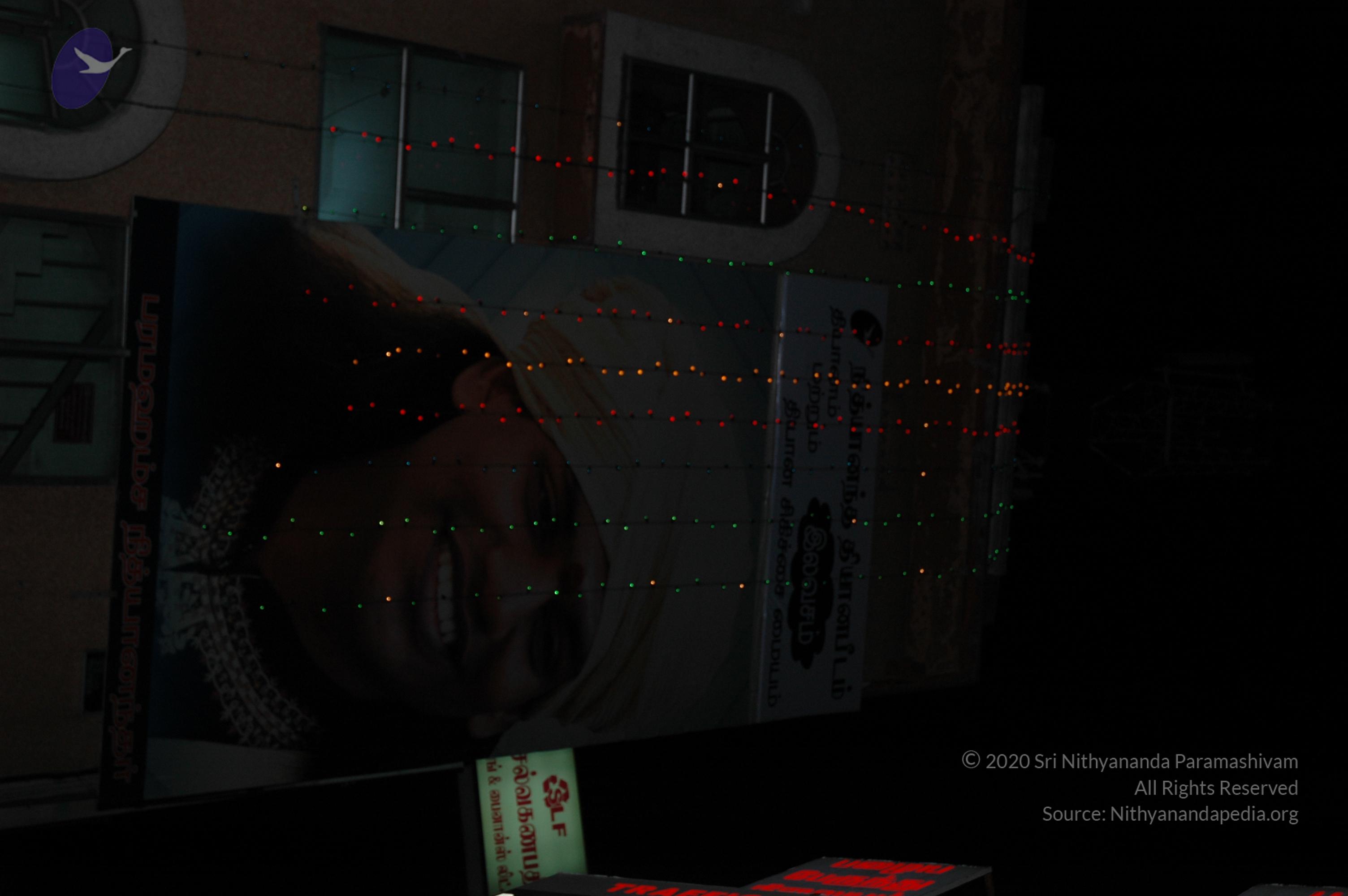 20081111_Photo_1475_DSC_2951_CMP_WM