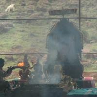 20081111_Photo_1814_DSC_2855_CMP_WM