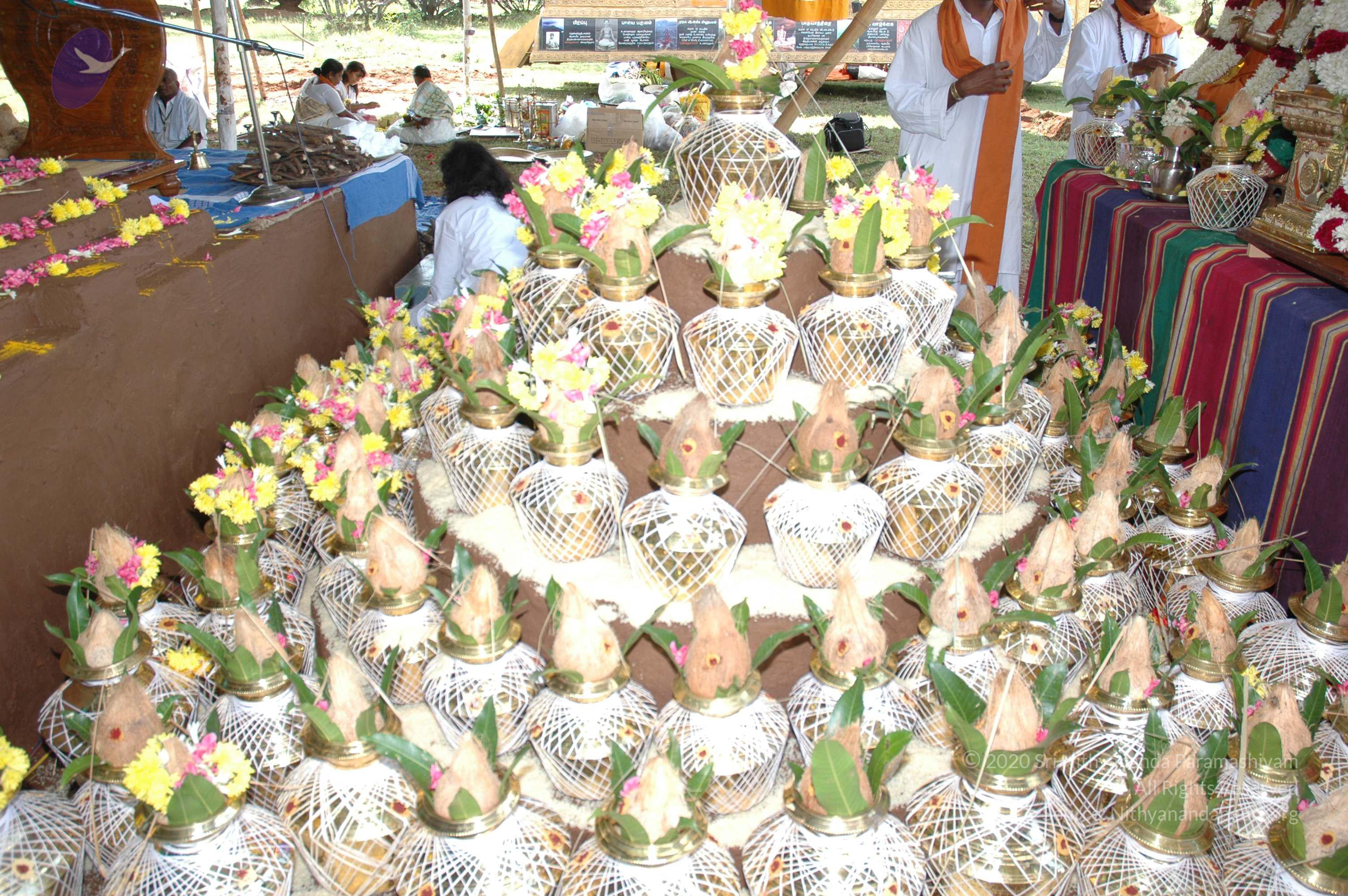 20081111_Photo_1824_DSC_2324_CMP_WM