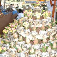 20081111_Photo_1824_DSC_2324_CMP_WM