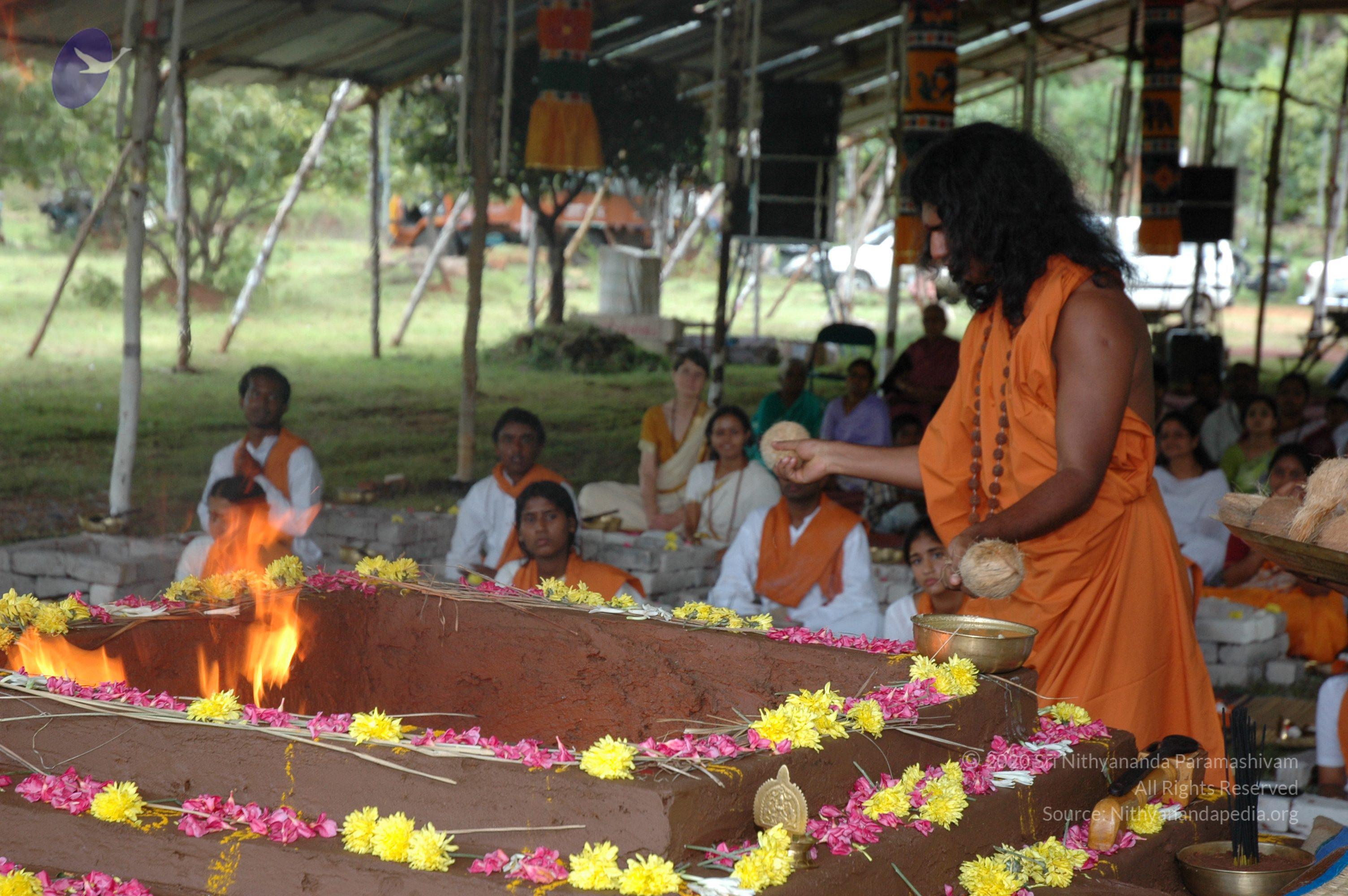 20081111_Photo_1836_DSC_2530_CMP_WM