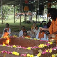 20081111_Photo_1836_DSC_2530_CMP_WM