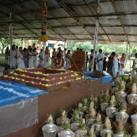 20081111_Photo_1857_DSC_2148_CMP_WM