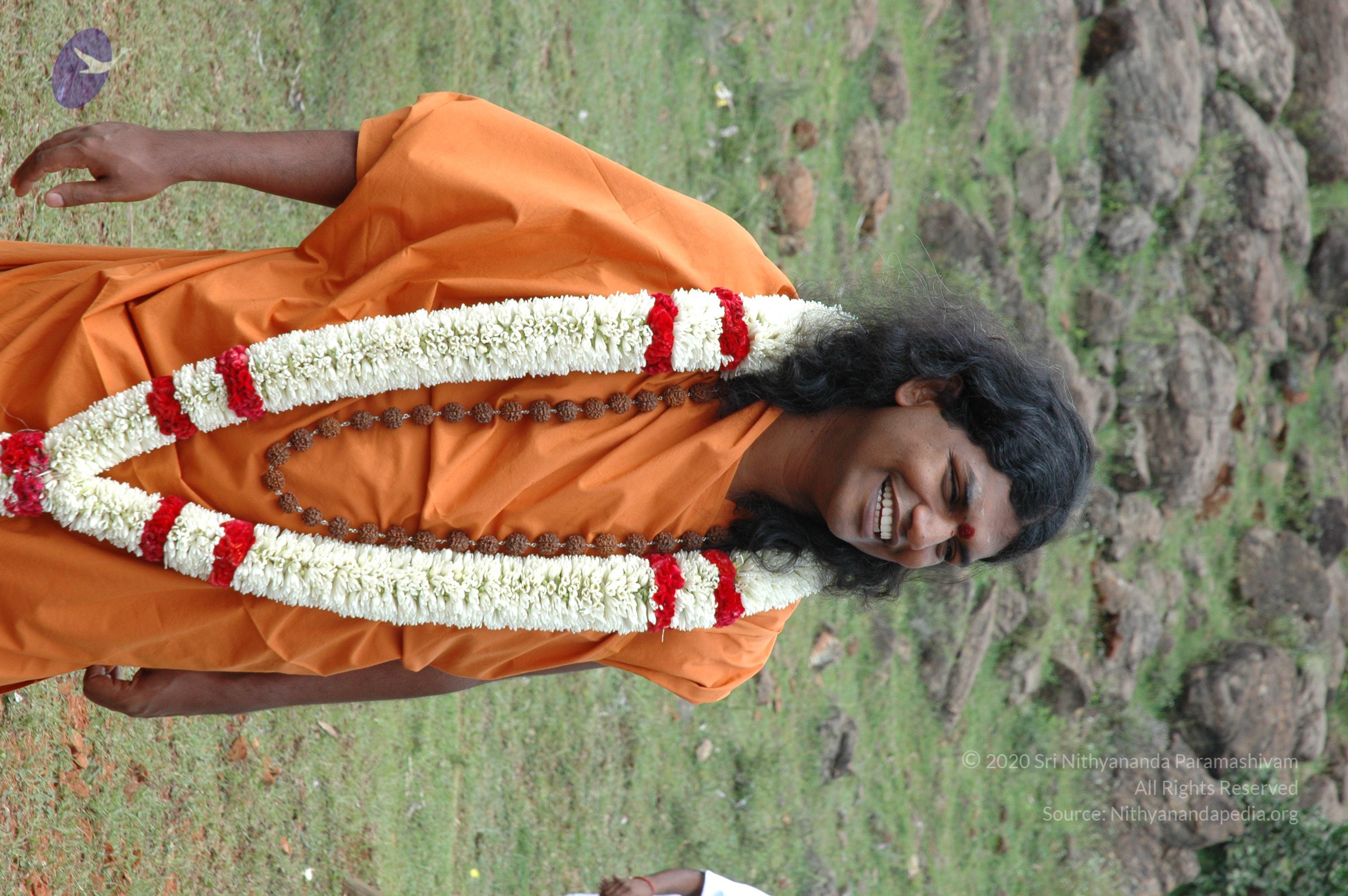 20081111_Photo_1865_DSC_2180_CMP_WM