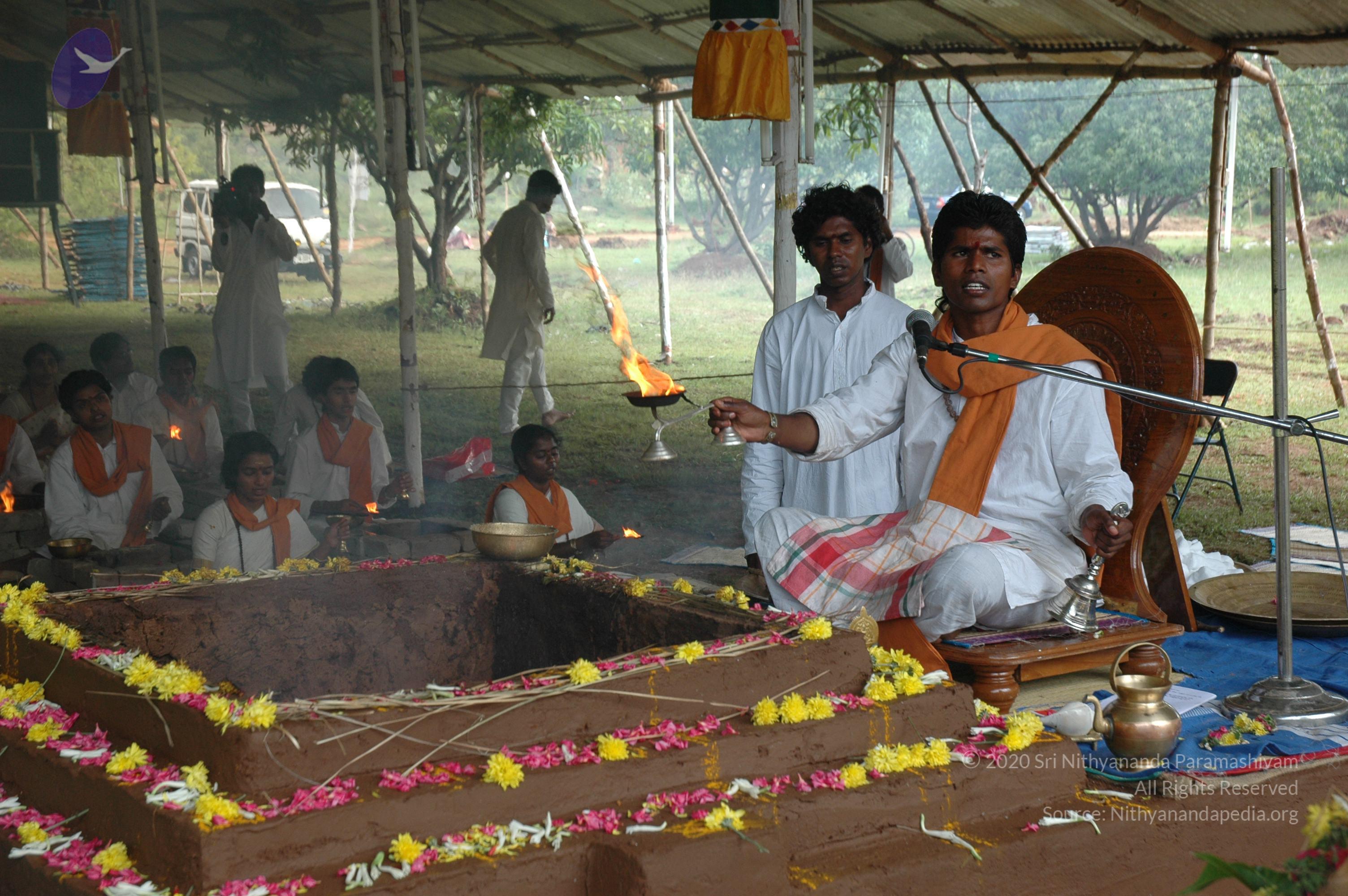 20081111_Photo_1869_DSC_2873_CMP_WM