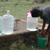 20081111_Photo_1872_DSC_2844_CMP_WM