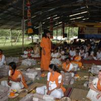 20081111_Photo_1882_DSC_2429_CMP_WM