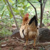 20081111_Photo_1883_DSC_2777_CMP_WM