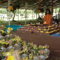 20081111_Photo_1892_DSC_2329_CMP_WM