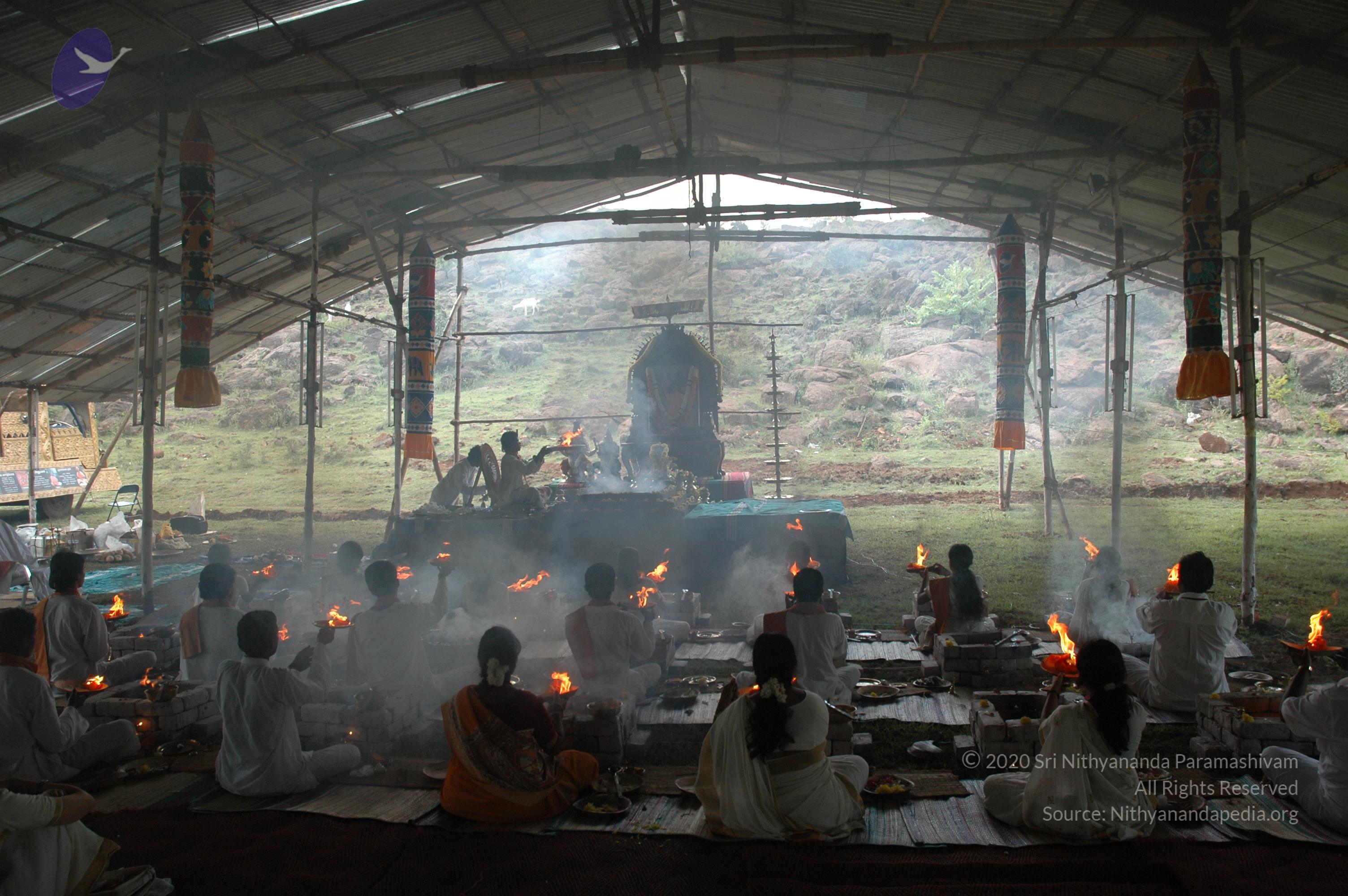 20081111_Photo_1907_DSC_2858_CMP_WM