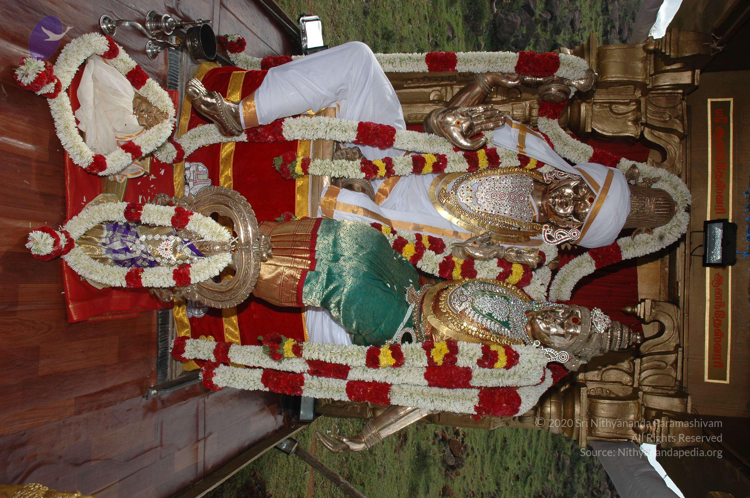 20081111_Photo_1910_DSC_2900_CMP_WM