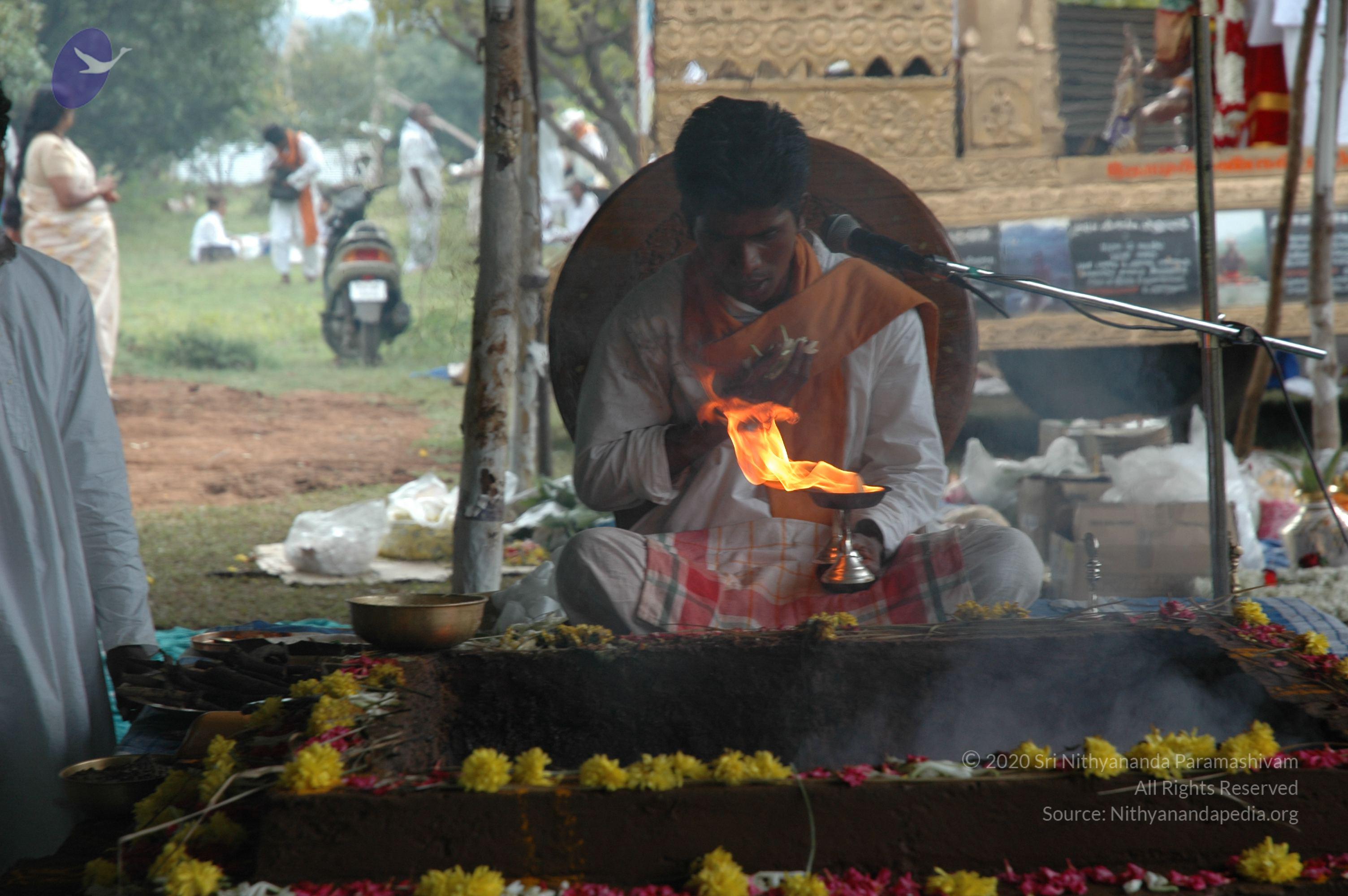 20081111_Photo_1917_DSC_2876_CMP_WM