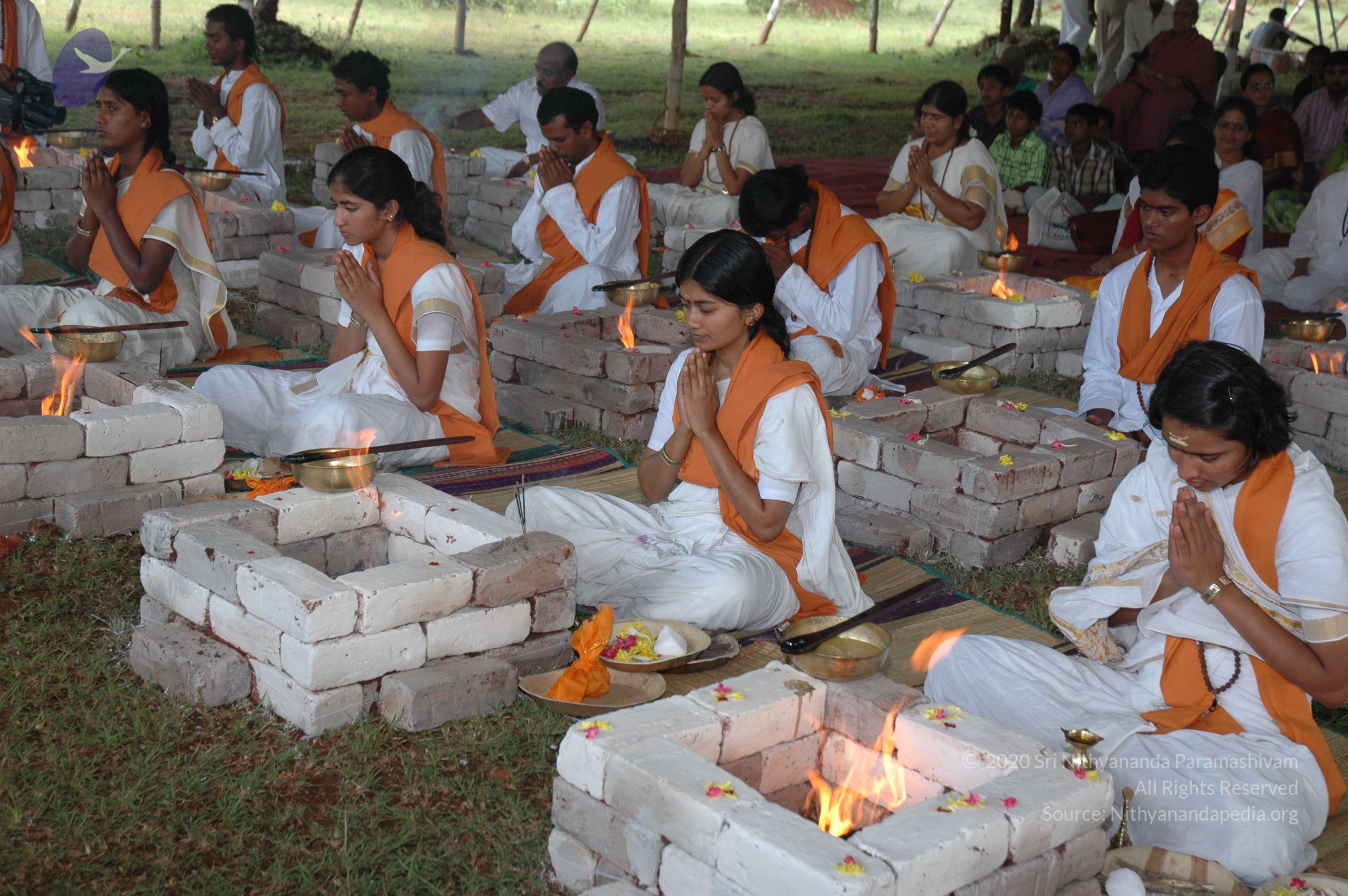 20081111_Photo_1919_DSC_2685_CMP_WM