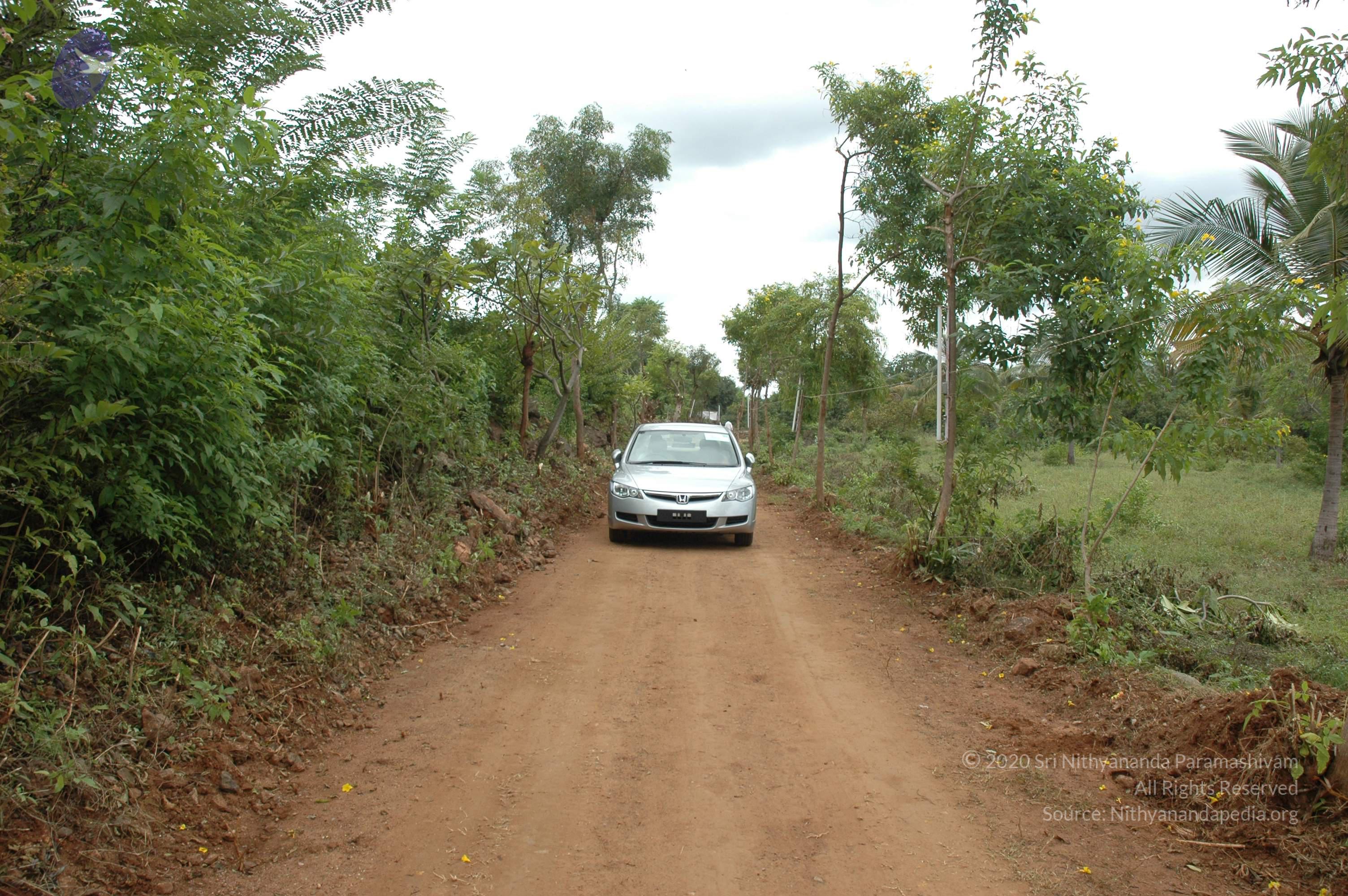 20081111_Photo_1927_DSC_1967_CMP_WM