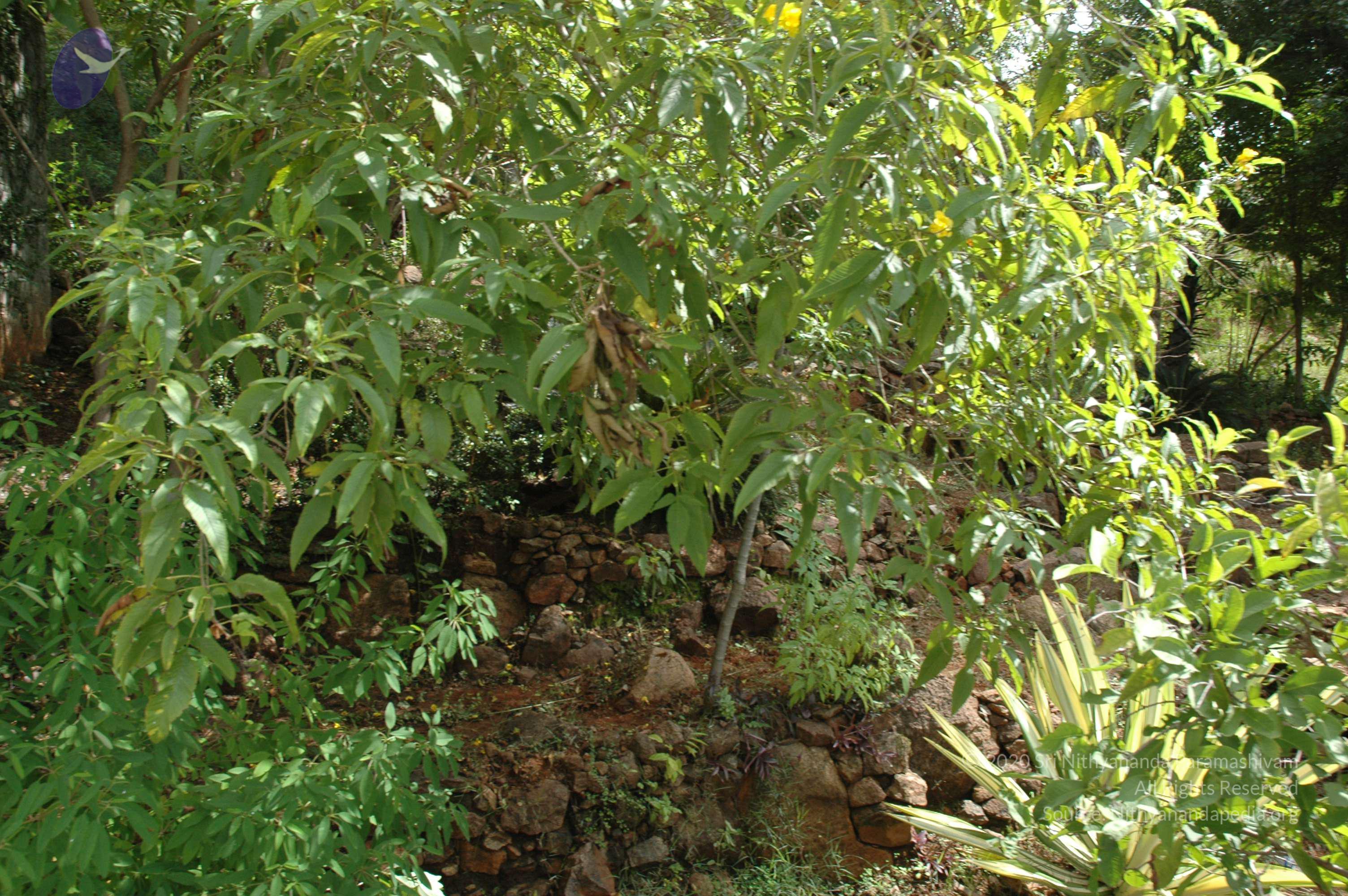 20081111_Photo_1931_DSC_2759_CMP_WM