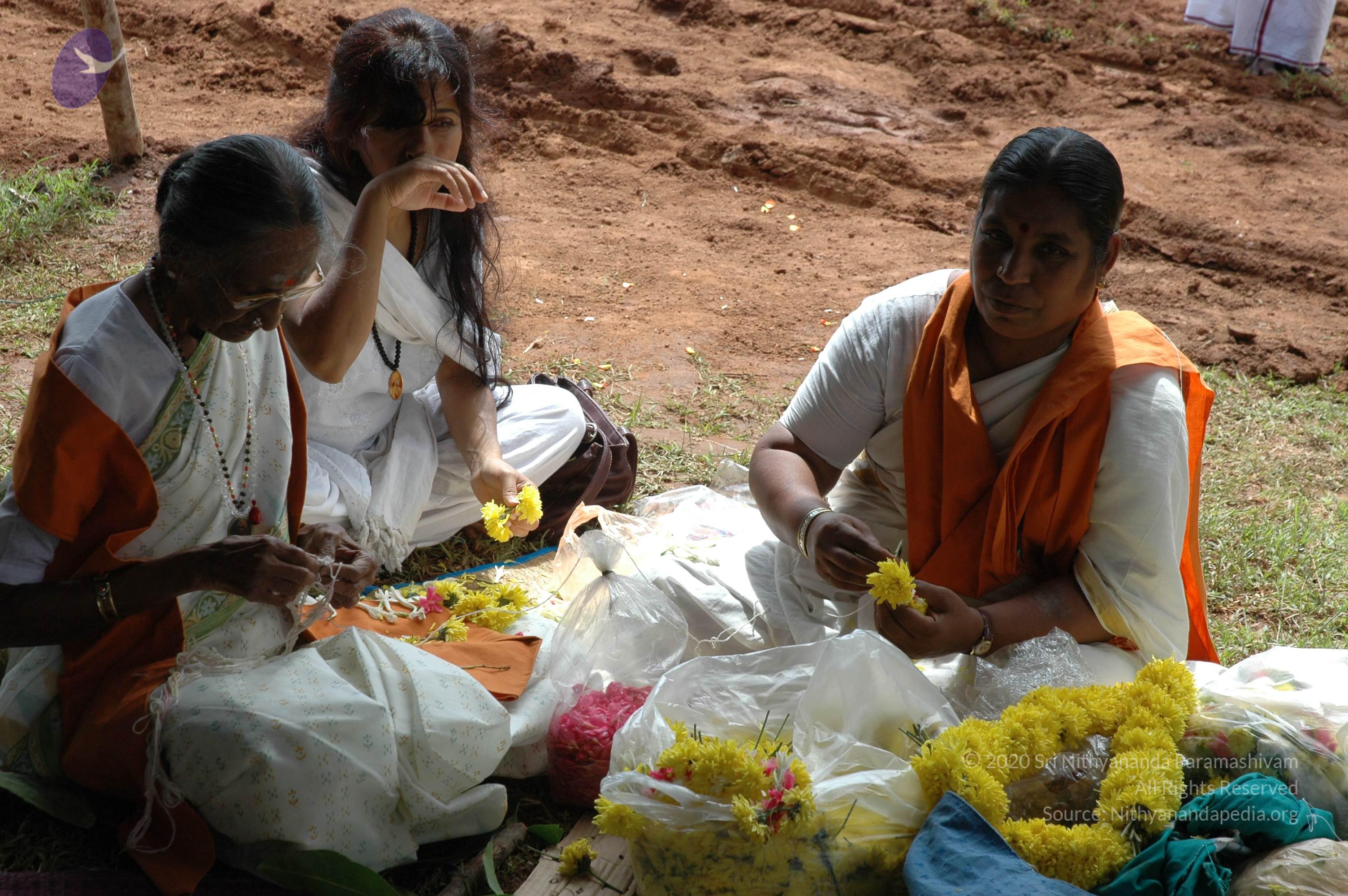 20081111_Photo_1933_DSC_2307_CMP_WM